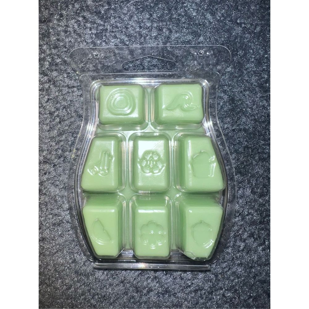 Scentsy: Brand New Marshmallow Mint Cocoa - Picture 2 of 3